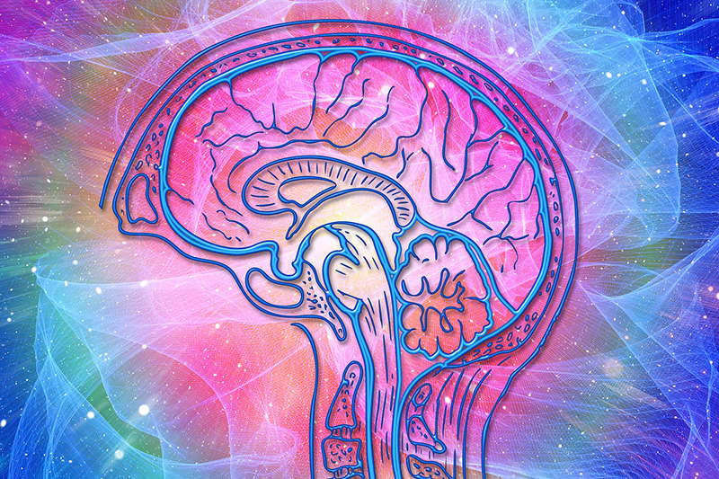 수면부족 vs 수면과다. and 기면증